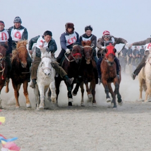 近百匹名貴賽馬亮相新疆首屆博斯騰杯賽馬大會